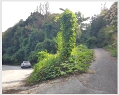  2025Ÿ��50872 ���� ��õ�� ����� ���ϸ� 261-2      ����(�Ӿ�)���