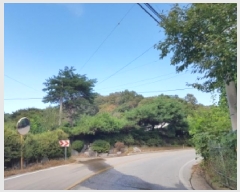  2025Ÿ��50872 ���� ��õ�� ����� ���ϸ� 261-2      ����(�Ӿ�)���