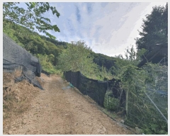  2025Ÿ��50912  �������