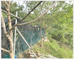  2025Ÿ��50912  �������