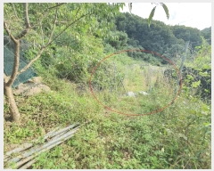  2025Ÿ��50912  �������