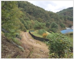  2025Ÿ��50912  �������