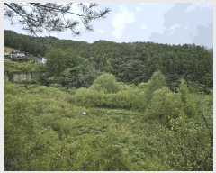  2025Ÿ��50920  �����