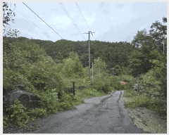  2025Ÿ��50920  �����