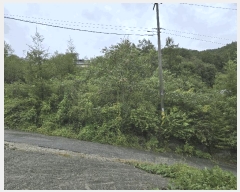  2025Ÿ��50920  �����