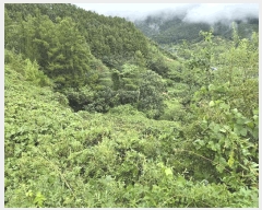  2025Ÿ��50920  �����