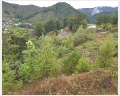  2025Ÿ��50920  �����