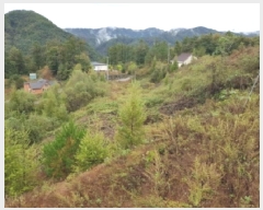  2025Ÿ��50920  �����