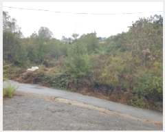  2025Ÿ��50920  �����