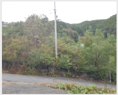  2025Ÿ��50920  �����