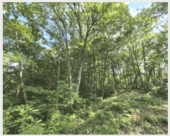  2025Ÿ613  õ   619      (Ӿ)