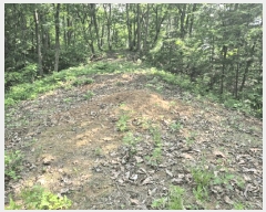  2025Ÿ613  õ   619      (Ӿ)