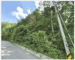  2025Ÿ613  õ   619      (Ӿ)