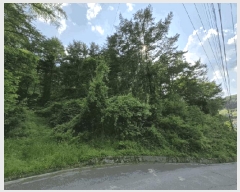  2025Ÿ613  õ   619      (Ӿ)