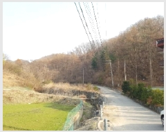  2025Ÿ613  õ   619      (Ӿ)