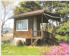  2025Ÿ811  ȫõ ͹̸ ʸ 897-2      ð