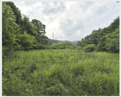  2025Ÿ��1050 ���� ��õ�� ���� ���и� 404-1      ����(��1)���