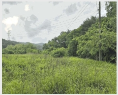  2025Ÿ��1050 ���� ��õ�� ���� ���и� 404-1      ����(��1)���