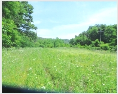  2025Ÿ��1050 ���� ��õ�� ���� ���и� 404-1      ����(��1)���