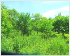  2025Ÿ��1050 ���� ��õ�� ���� ���и� 404-1      ����(��1)���