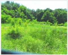  2025Ÿ��1050 ���� ��õ�� ���� ���и� 404-1      ����(��1)���