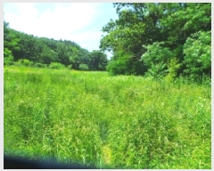  2025Ÿ��1050 ���� ��õ�� ���� ���и� 404-1      ����(��1)���