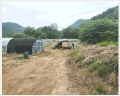  2025Ÿ��1210 ���� ȫõ�� ȭ�̸� ���� 254      ����(��1)���