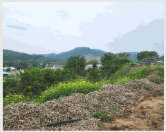  2025Ÿ��1210 ���� ȫõ�� ȭ�̸� ���� 254      ����(��1)���