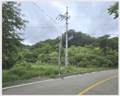  2025Ÿ��1296  �����