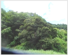  2025Ÿ��1296  �����