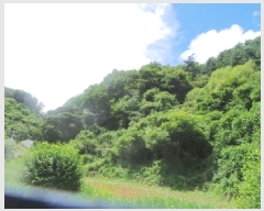  2025Ÿ��1296  �����