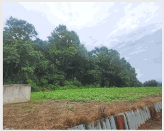  2025Ÿ��1494 ���� ��õ�� �ŵ��� ������ 317      ����(�Ӿ�)���