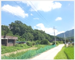  2025Ÿ��1494 ���� ��õ�� �ŵ��� ������ 317      ����(�Ӿ�)���