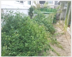  2025Ÿ��1616 ���� ��õ�� ȿ�ڵ� 755-6       ���ð��