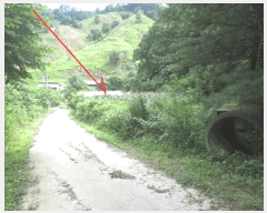  2025Ÿ��1692 ���� ȫõ�� ȭ�̸� �߽ô븮 691      ����(��)���