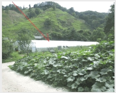  2025Ÿ��1692 ���� ȫõ�� ȭ�̸� �߽ô븮 691      ����(��)���