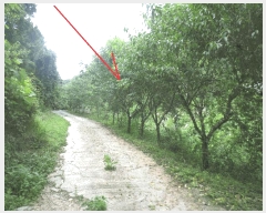  2025Ÿ��1692 ���� ȫõ�� ȭ�̸� �߽ô븮 691      ����(��)���