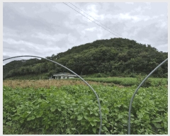  2025Ÿ��1890  �Ӿ߰��