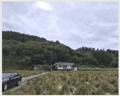  2025Ÿ��1890  �Ӿ߰��