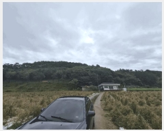  2025Ÿ��1890  �Ӿ߰��