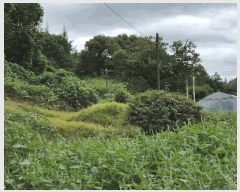  2025Ÿ��1890  �Ӿ߰��