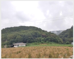  2025Ÿ��1890  �Ӿ߰��