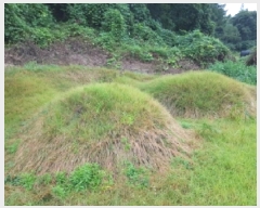  2025Ÿ��1890  �Ӿ߰��