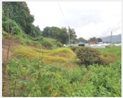  2025Ÿ��1890  �Ӿ߰��