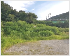  2025Ÿ��2015 ���� ��õ�� ����� ���̸� 645-8      ����(��1)���