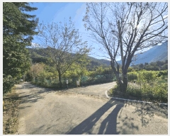  2025Ÿ��2091 ���� ȫõ�� ���� ������ 265      ����(��1)���