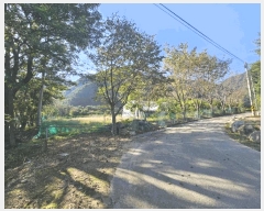  2025Ÿ��2091 ���� ȫõ�� ���� ������ 265      ����(��1)���