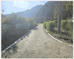  2025Ÿ��2091 ���� ȫõ�� ���� ������ 265      ����(��1)���