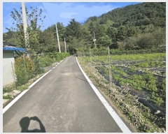  2025Ÿ��2091 ���� ȫõ�� ���� ������ 265      ����(��1)���