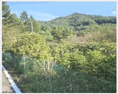  2025Ÿ��2091 ���� ȫõ�� ���� ������ 265      ����(��1)���